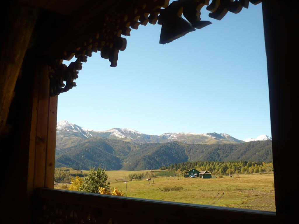 Guesthouse Javakhe Омало Номер фото